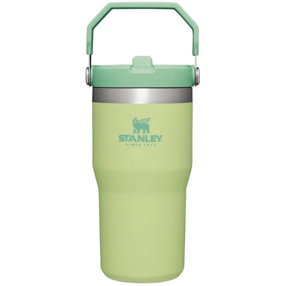 Stanley 20oz Stainless Steel IceFlow Flip Straw Tumbler